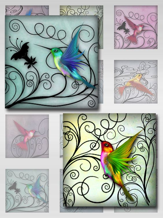 11820db063a55544632f3836d0b3285b